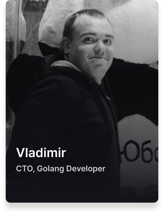 Vladimir CTO, Goland Developer
